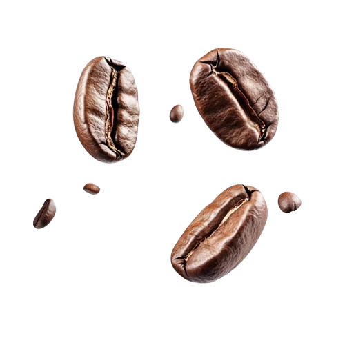 Grãos de café arábica